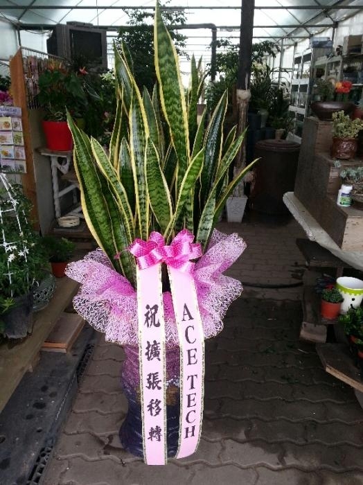 �꼼������