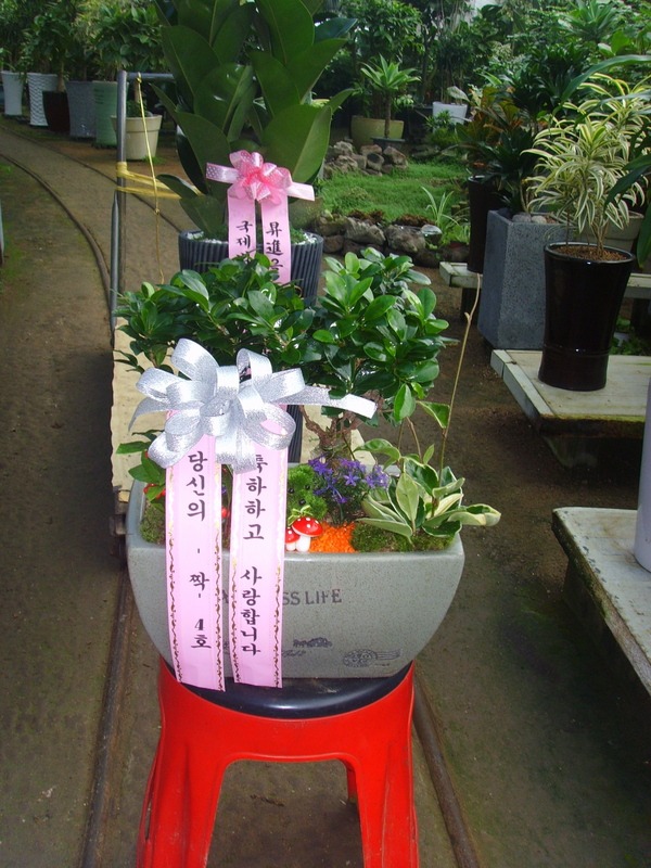 �λ�  ��۰�