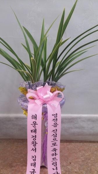 �λ�  ��۰�