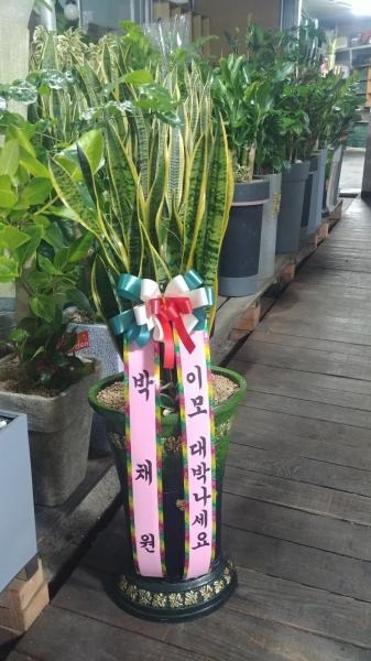 �꼼�����ƹ�۰�