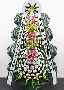 ����3��ȭȯP4