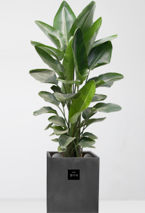 [����������]������(��)3